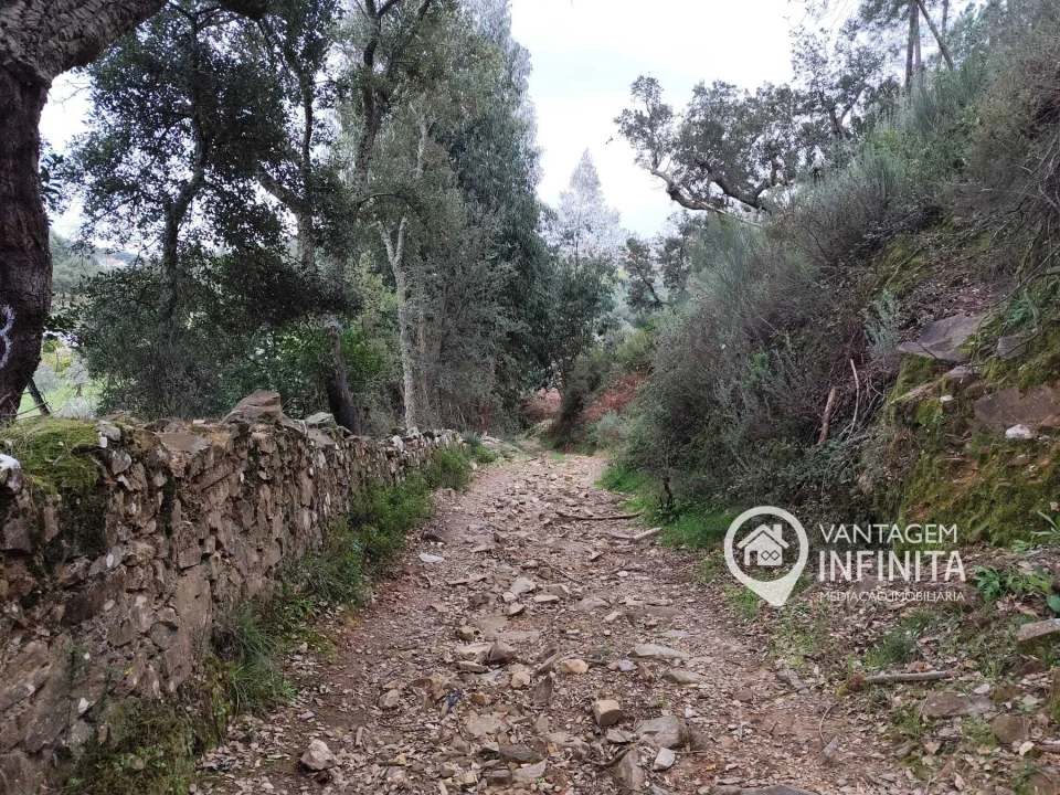 Quinta T4 para Venda em Alegrete Foto 5