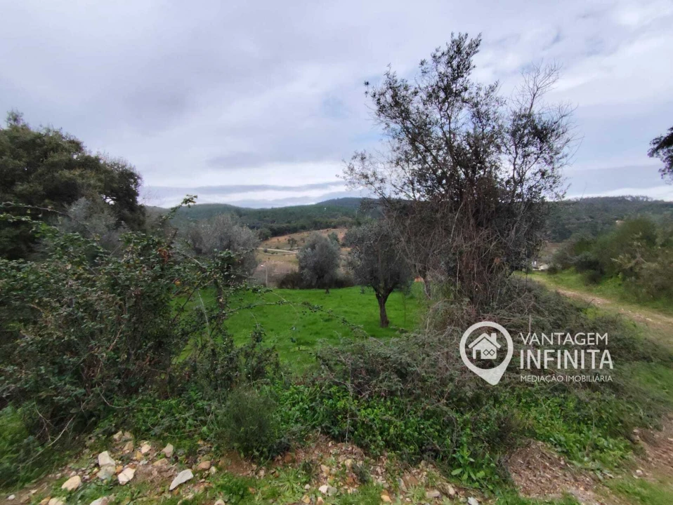 Quinta T4 para Venda em Alegrete Foto 12