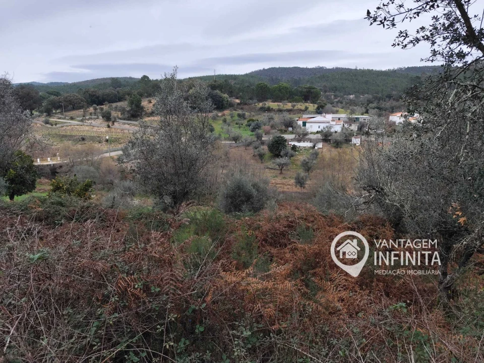 Quinta T4 para Venda em Alegrete Foto 8