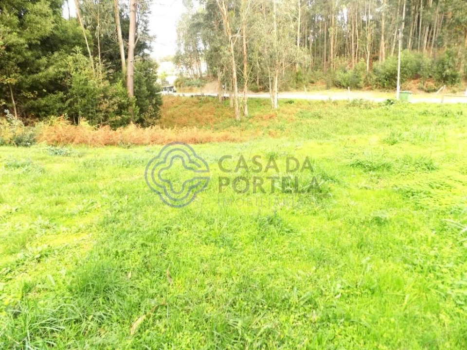 Terreno para Venda em Grijó e Sermonde Foto 1