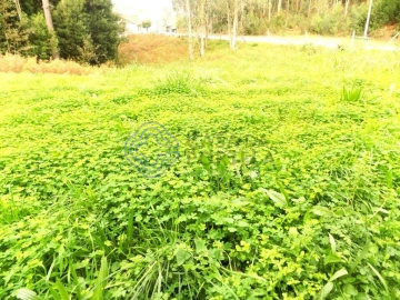 Terreno para Venda em Grijó e Sermonde