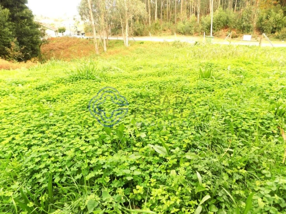 Terreno para Venda em Grijó e Sermonde Foto 9