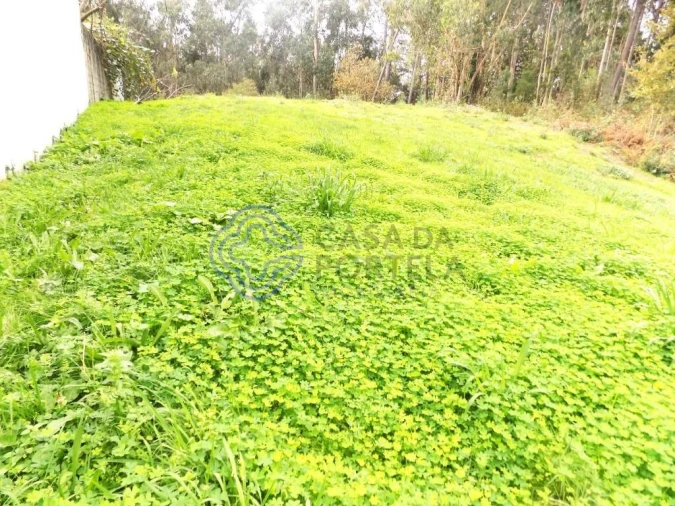 Terreno para Venda em Grijó e Sermonde Foto 8