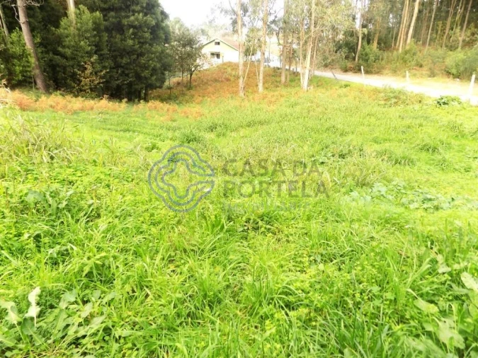 Terreno para Venda em Grijó e Sermonde Foto 6