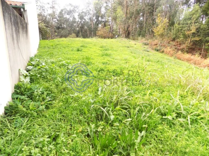 Terreno para Venda em Grijó e Sermonde Foto 10
