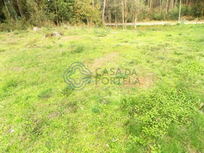 Terreno para Venda em Grijó e Sermonde Foto 3