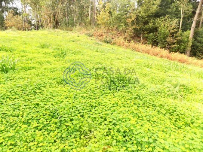 Terreno para Venda em Grijó e Sermonde Foto 7