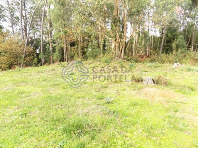 Terreno para Venda em Grijó e Sermonde Foto 5