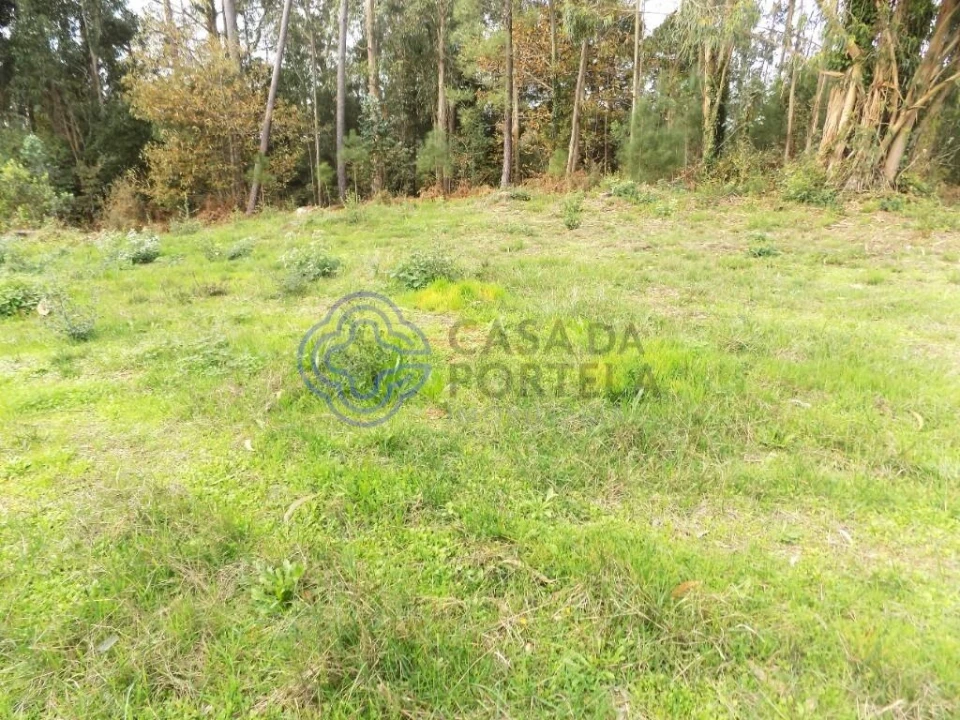 Terreno para Venda em Grijó e Sermonde Foto 2