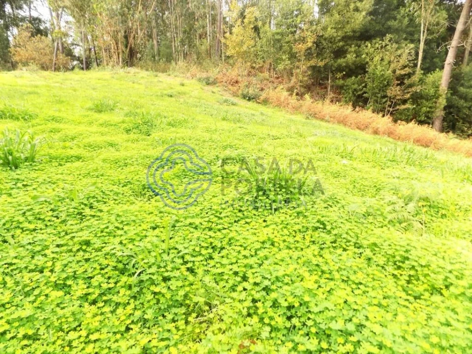 Terreno para Venda em Grijó e Sermonde Foto 7