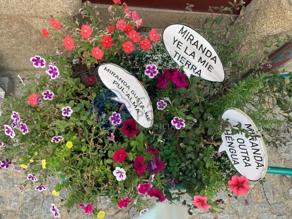 Terreno para Venda em Miranda do Douro Foto 17