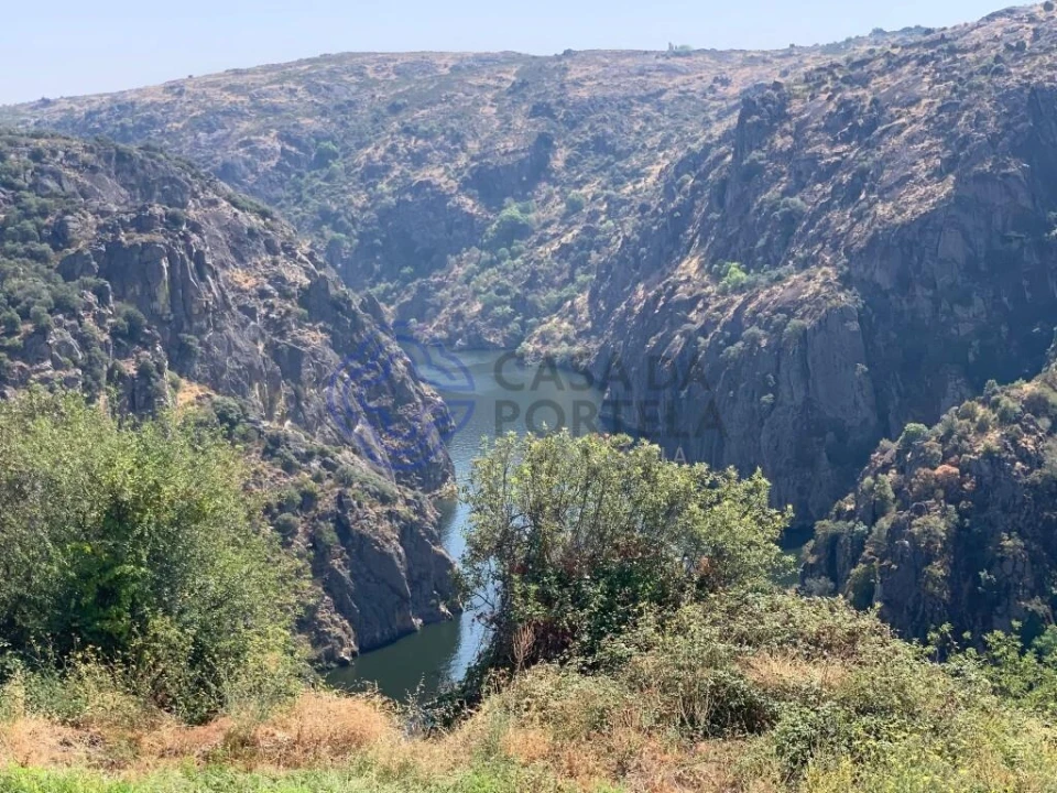 Terreno para Venda em Miranda do Douro Foto 9