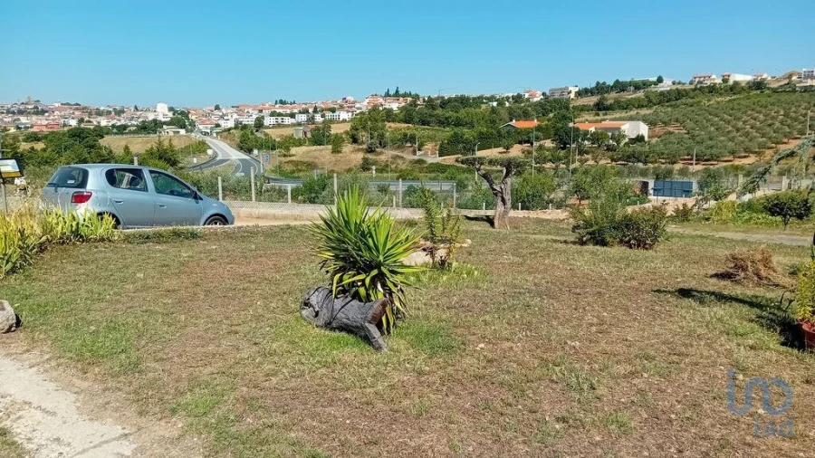 Moradia T3 para Venda em Mogadouro, Valverde, Vale de Porco e Vilar de Rei Foto 5