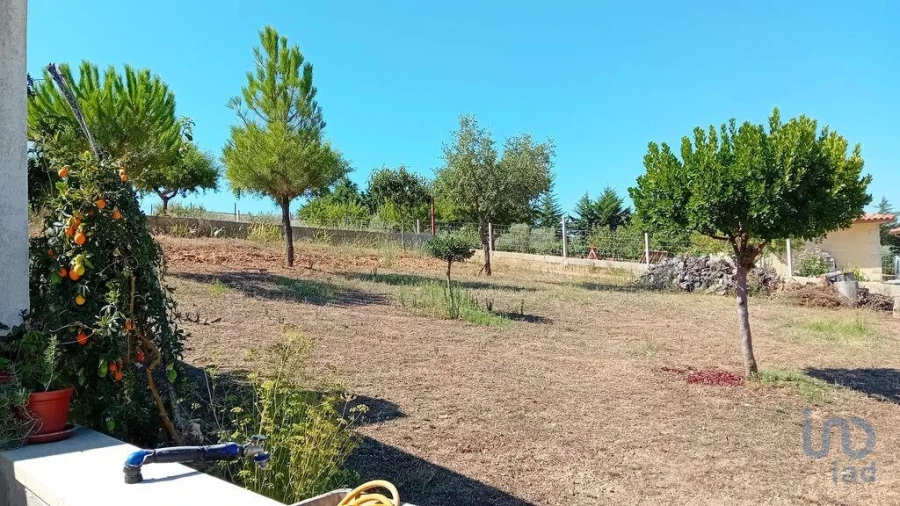 Moradia T3 para Venda em Mogadouro, Valverde, Vale de Porco e Vilar de Rei Foto 10