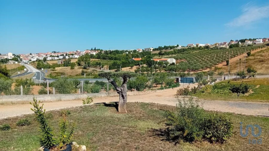 Moradia T3 para Venda em Mogadouro, Valverde, Vale de Porco e Vilar de Rei Foto 6