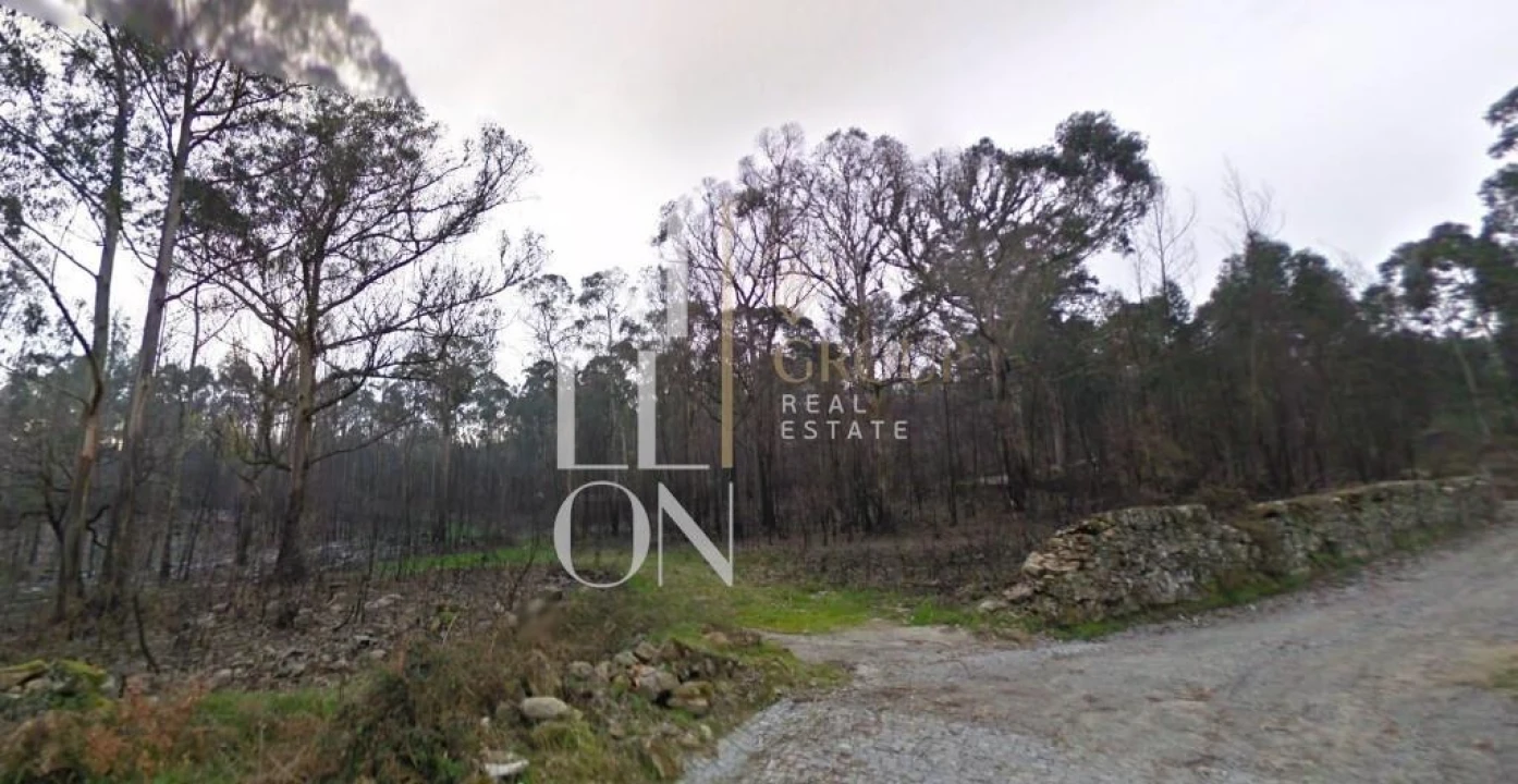 Terreno para Venda em Eiriz Foto 3