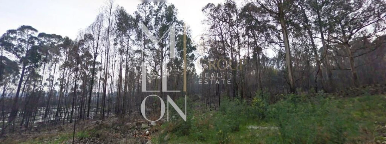 Terreno para Venda em Eiriz Foto 4