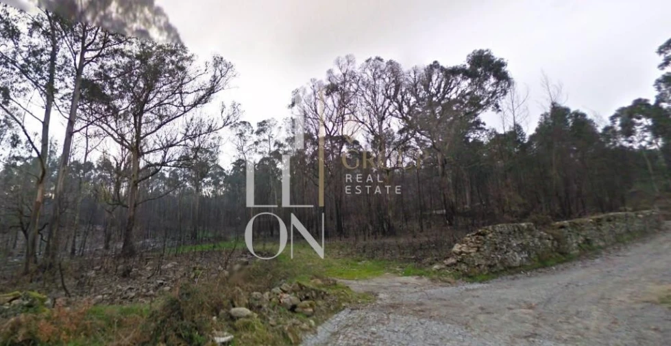 Terreno para Venda em Eiriz Foto 3