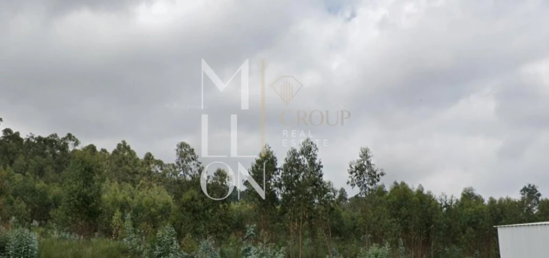 Terreno para Venda em Eiriz Foto 5