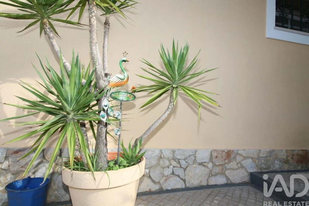 Moradia T4 para Venda em Tavira (Santa Maria e Santiago) Foto 30