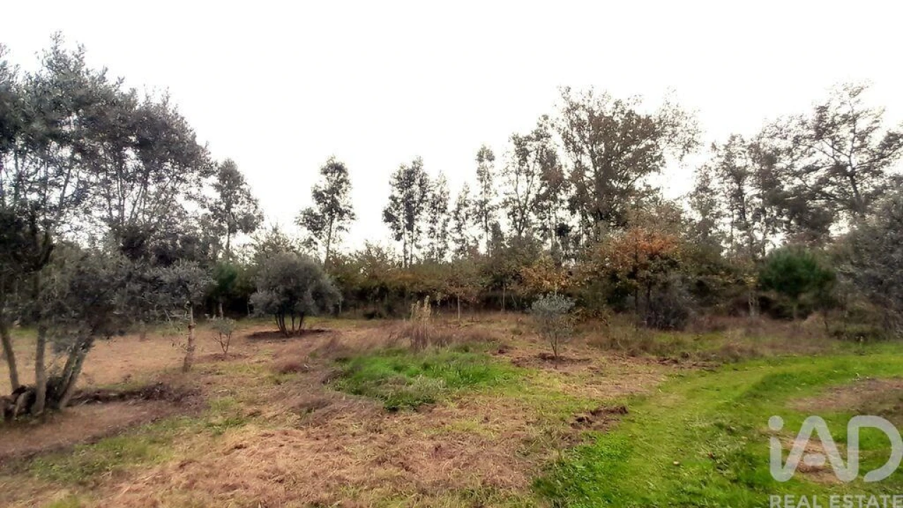 Terreno para Venda em Seixo da Beira Foto 16