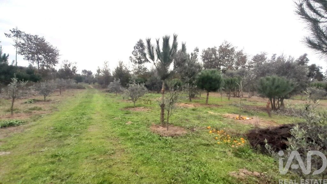 Terreno para Venda em Seixo da Beira Foto 6