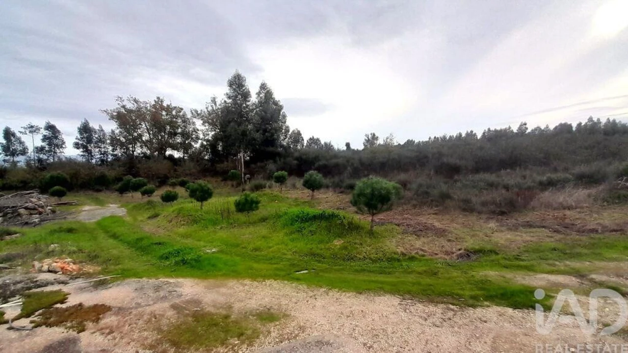 Terreno para Venda em Seixo da Beira Foto 20