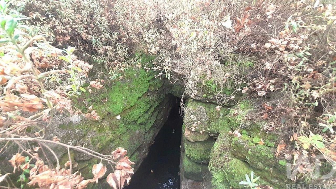 Terreno para Venda em Seixo da Beira Foto 19