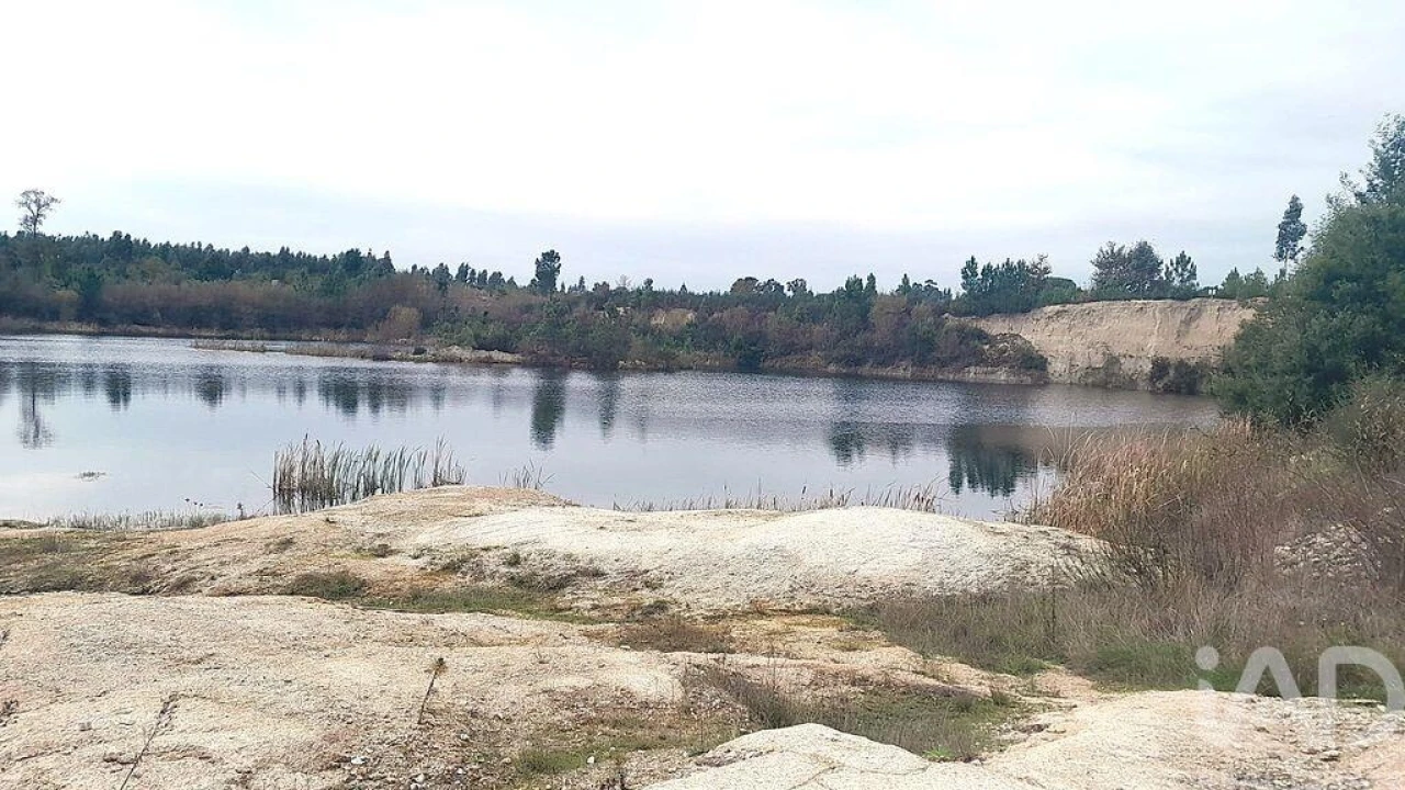 Terreno para Venda em Seixo da Beira Foto 27