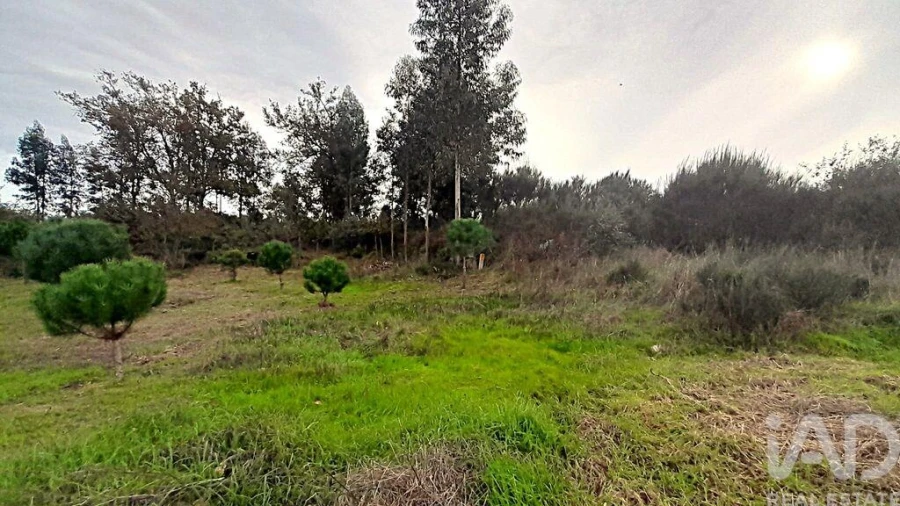 Terreno para Venda em Seixo da Beira Foto 23