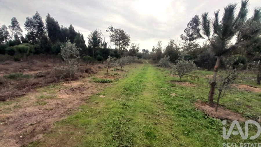 Terreno para Venda em Seixo da Beira Foto 18