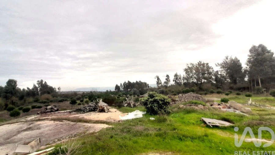 Terreno para Venda em Seixo da Beira Foto 12