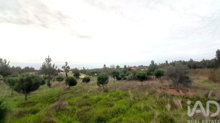 Terreno para Venda em Seixo da Beira Foto 29
