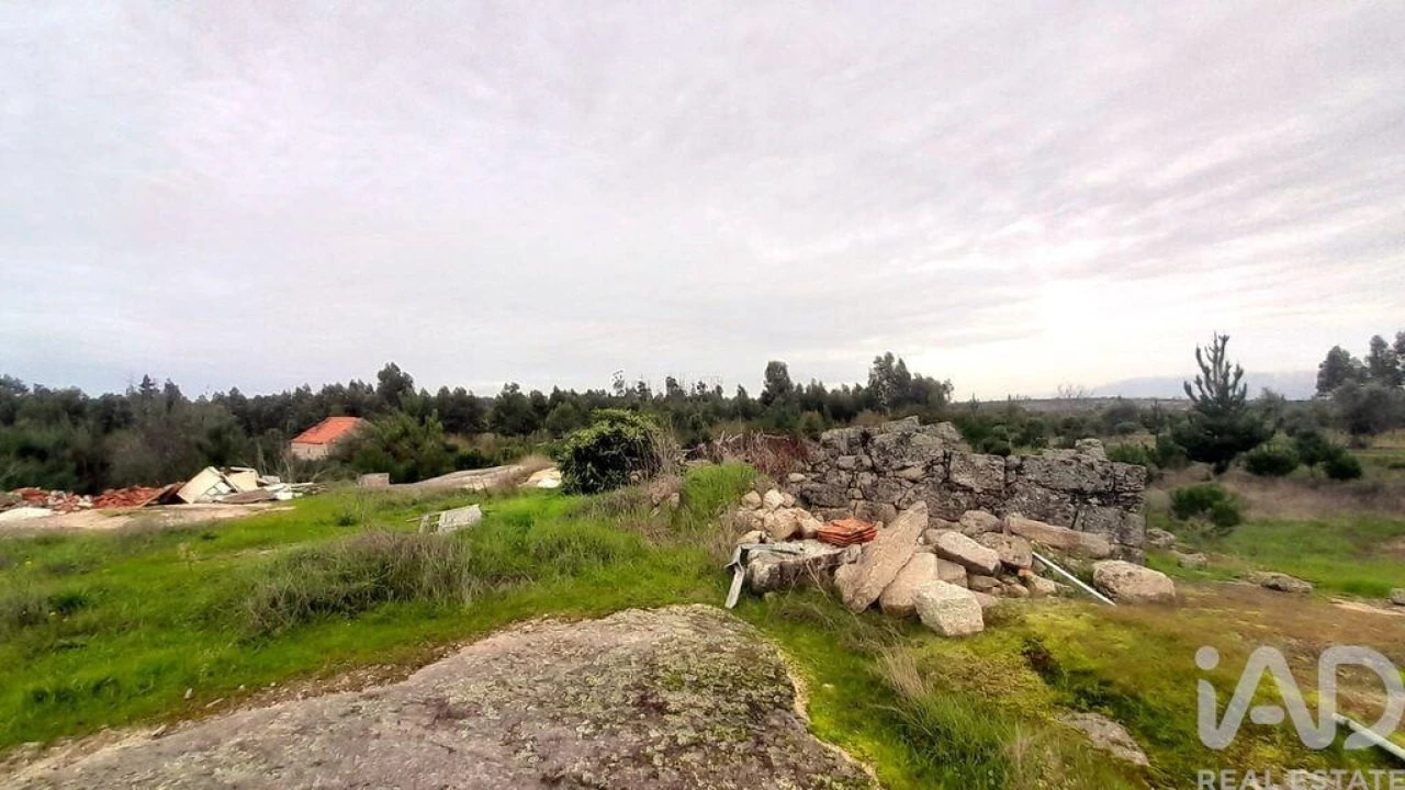 Terreno para Venda em Seixo da Beira Foto 21
