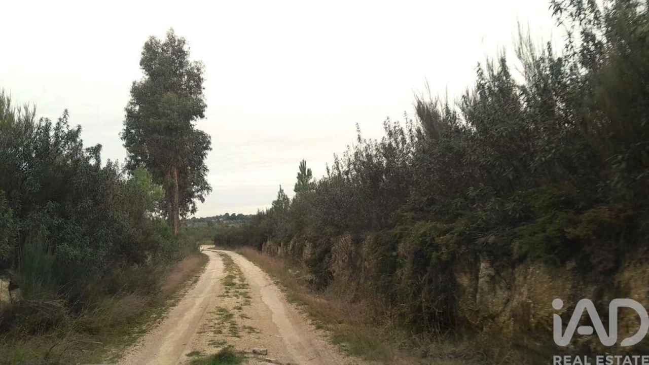 Terreno para Venda em Seixo da Beira Foto 9