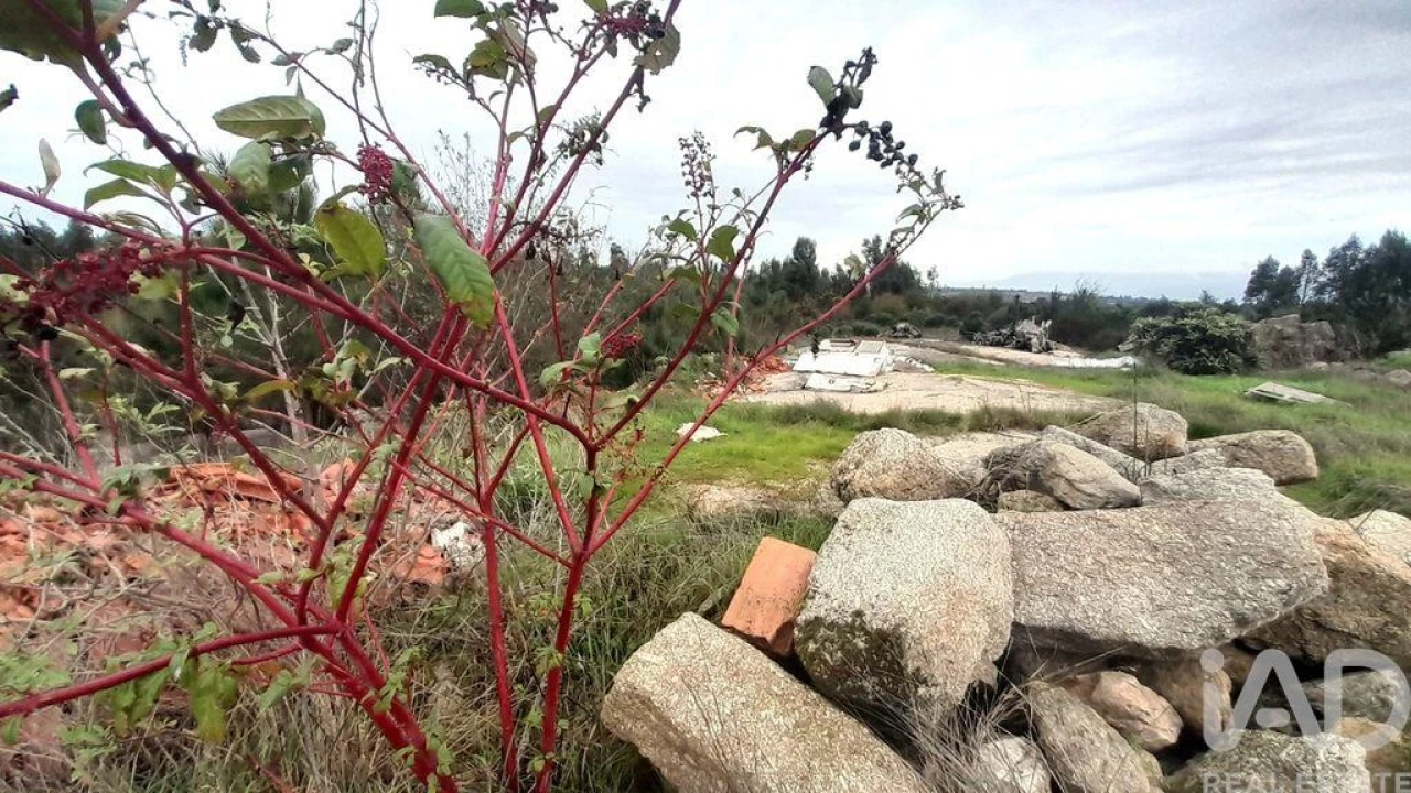 Terreno para Venda em Seixo da Beira Foto 22