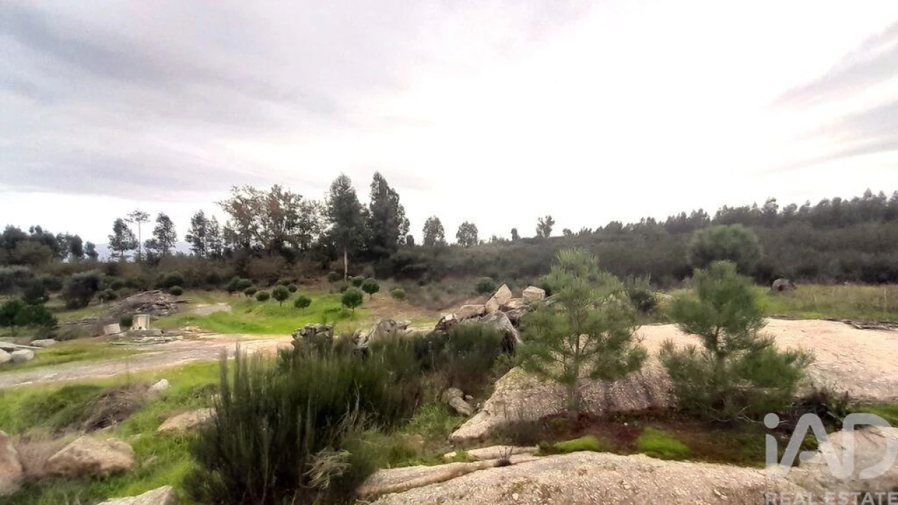 Terreno para Venda em Seixo da Beira Foto 4