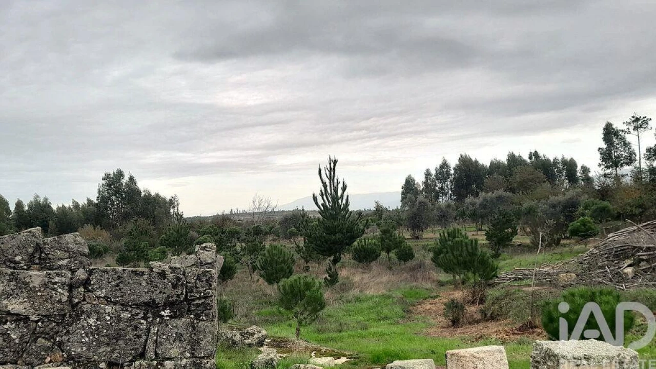 Terreno para Venda em Seixo da Beira Foto 26