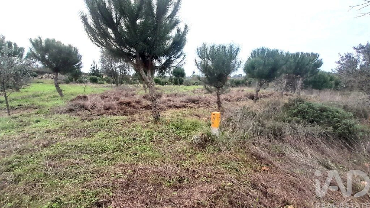 Terreno para Venda em Seixo da Beira Foto 3