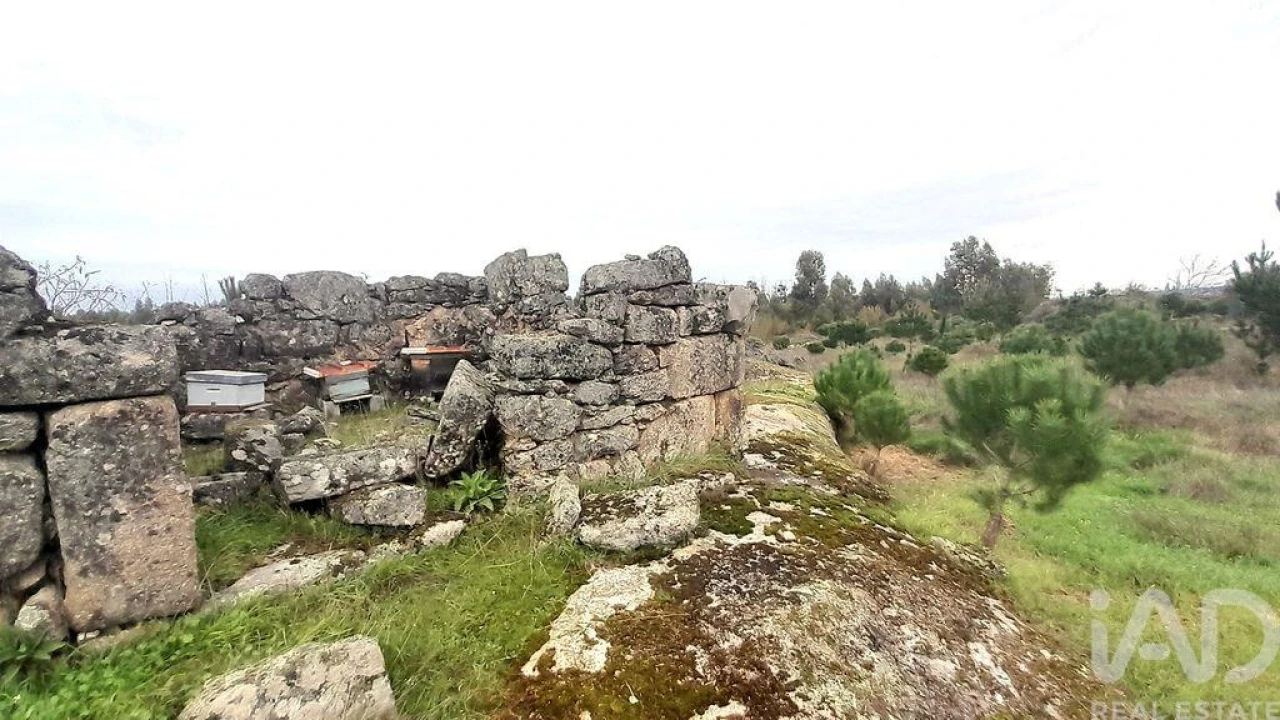 Terreno para Venda em Seixo da Beira Foto 28