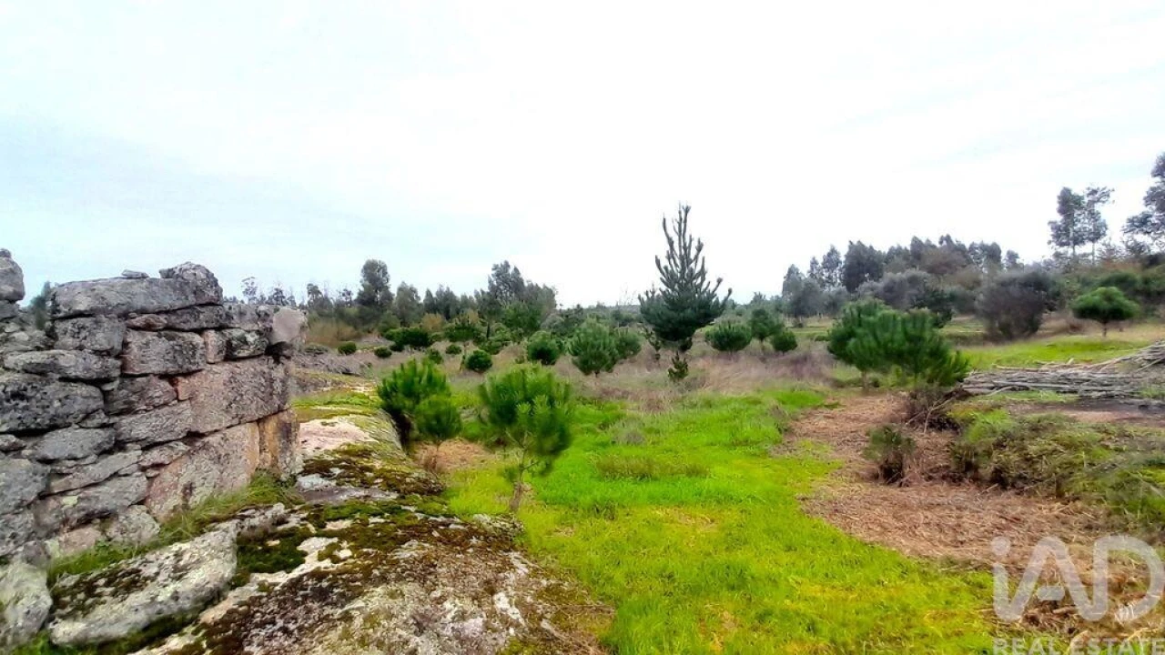 Terreno para Venda em Seixo da Beira Foto 5