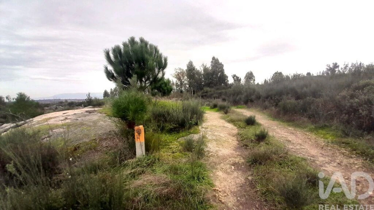 Terreno para Venda em Seixo da Beira Foto 7