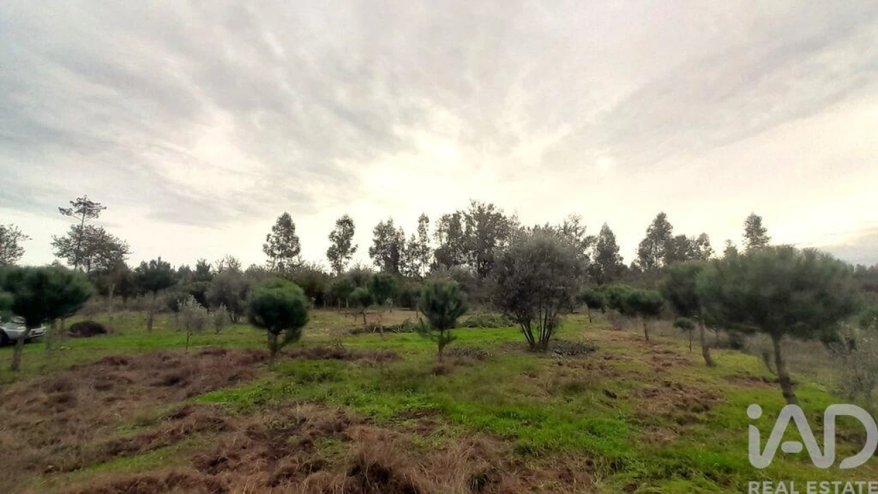 Terreno para Venda em Seixo da Beira Foto 10