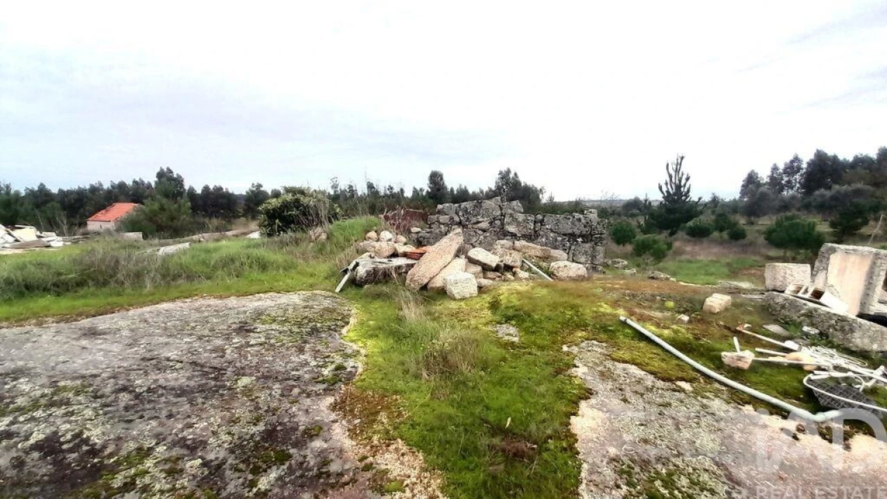 Terreno para Venda em Seixo da Beira Foto 2