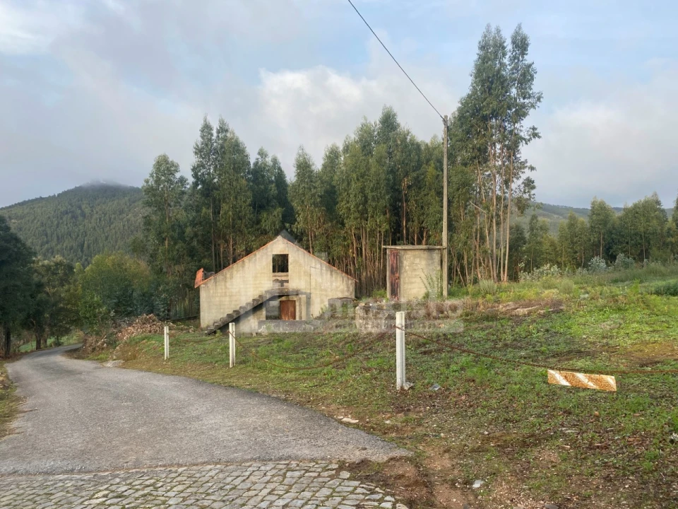 Quinta T1 para Venda em Figueiró dos Vinhos e Bairradas Foto 1
