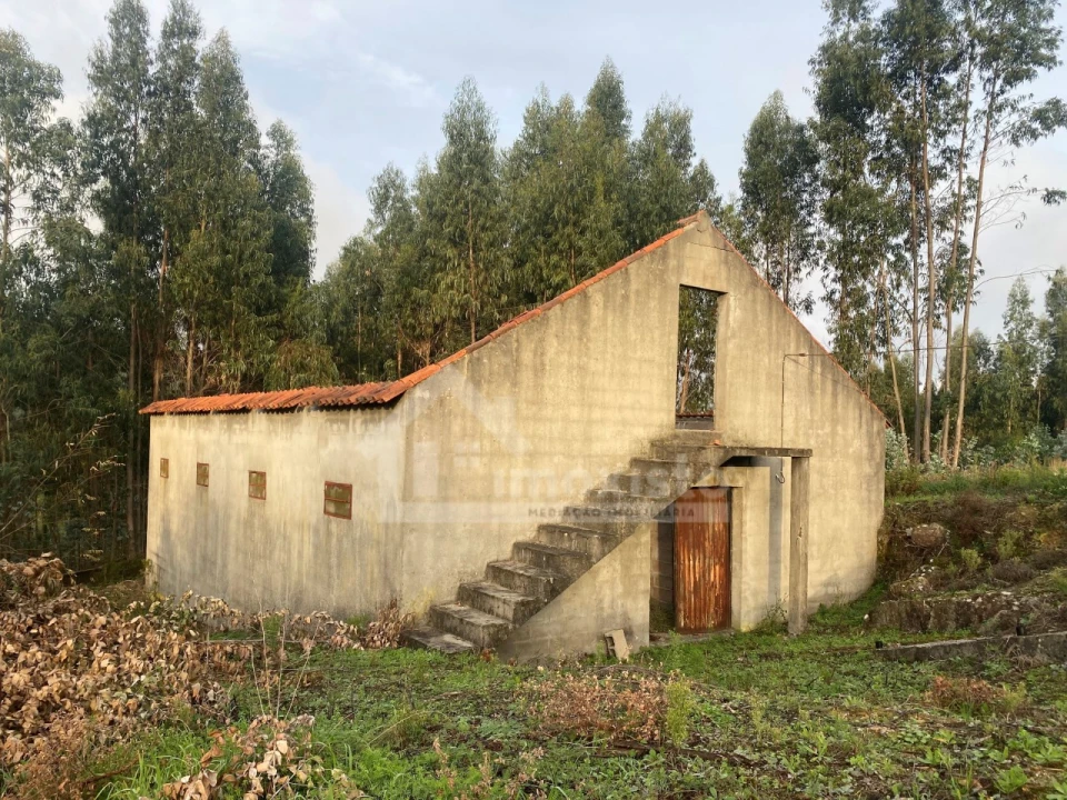 Quinta T1 para Venda em Figueiró dos Vinhos e Bairradas Foto 3