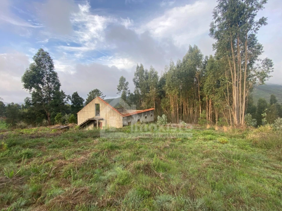 Quinta T1 para Venda em Figueiró dos Vinhos e Bairradas Foto 7