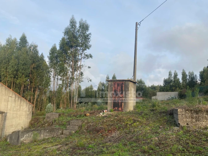 Quinta T1 para Venda em Figueiró dos Vinhos e Bairradas Foto 2