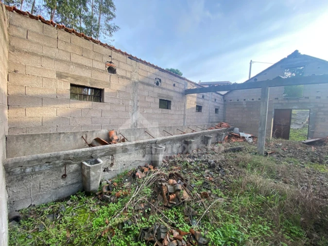 Quinta T1 para Venda em Figueiró dos Vinhos e Bairradas Foto 4