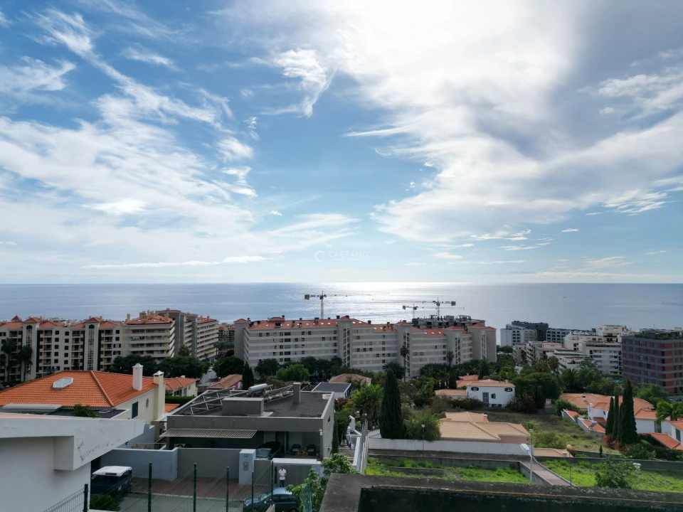 Terreno para Venda em São Martinho Foto 8